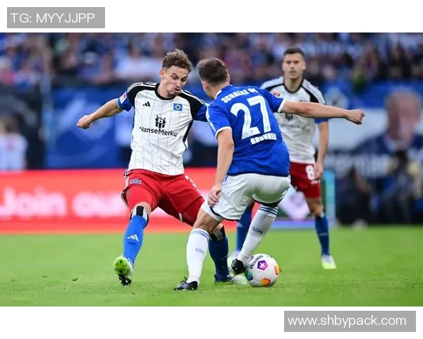 德乙焦点战波鸿迎战汉堡双方争夺季后赛名额的关键对决